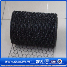 High Quality Black PVC Coated Galvanized Hexagonal Wire Mesh